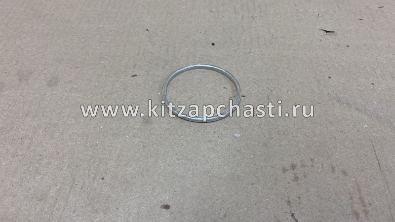 Сальник коленвала задний TANK 700 1002300XEZ01