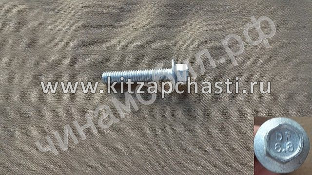 Шайба болта головки блока цилиндров TANK 400 1003012XEN01