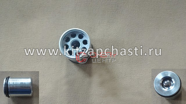 Клапан масляный ГБЦ Tank 300 1003500XEC01