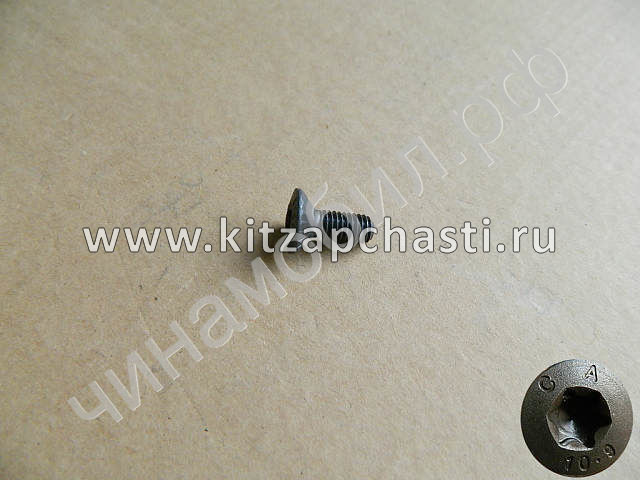 Винт крепежный диска коленвала HAVAL F7x 2pect 1005017XEC01