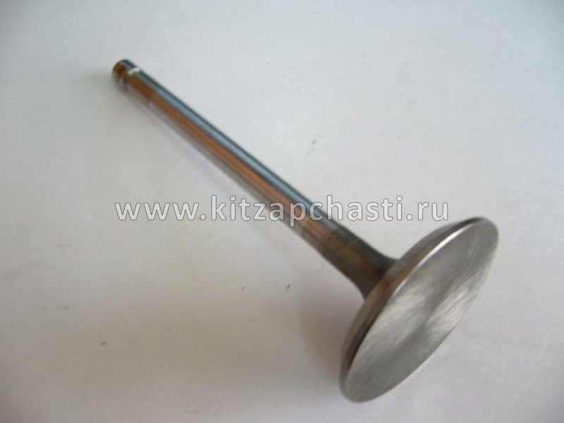 Клапан впускной TANK 400 1007011AEN01