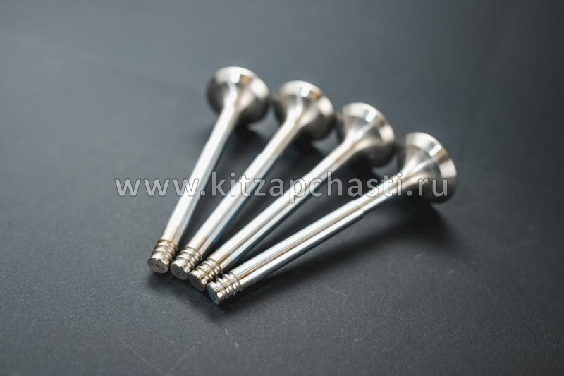 Клапан выпускной TANK 400 1007012XEN01
