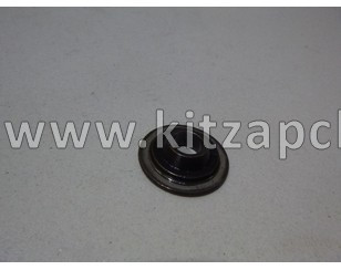 Тарелка пружины клапана TANK 400 1007013XEN01