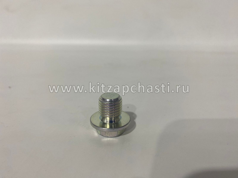 Пробка сливная масляного картера двигателя JAC S3 1009021GG010
