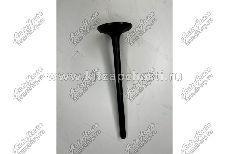 Клапан впускной Knewstar 001 1030024600
