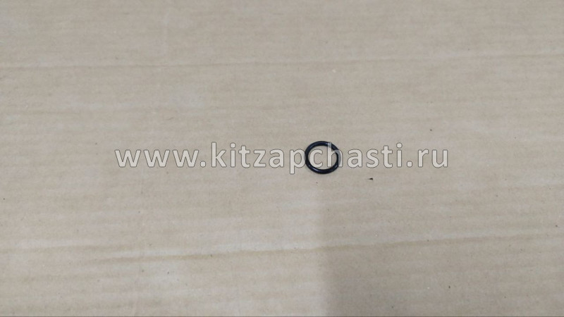 ПРОКЛАДКА ВОДЯНОЙ ПОМПЫ Geely Atlas 1066007300