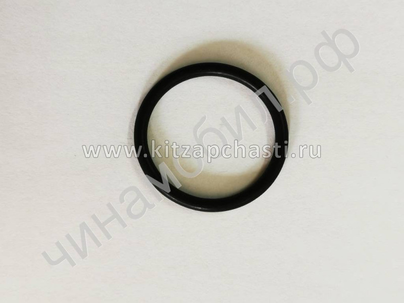 Кольцо уплотнительное Geely Preface 1066029600