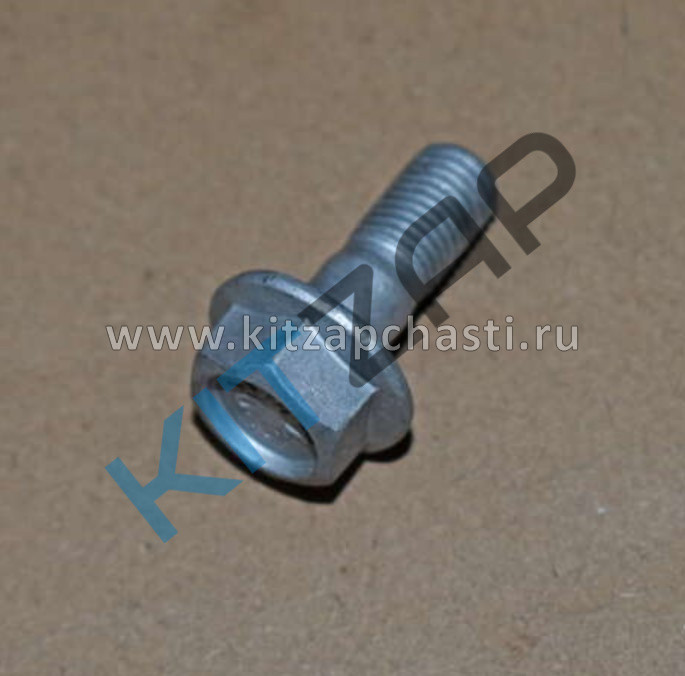 Болт крепления скобы суппорта к кулаку EXEED VX FL 204001521AA