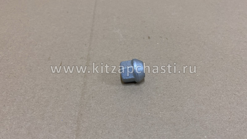 Гайка колеса TANK 400 3101014XKZ1DA