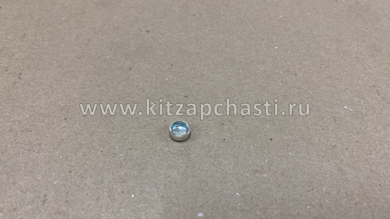 Заглушка ГБЦ малая NEXT,Бизнес Cummins ISF 2.8  3900955