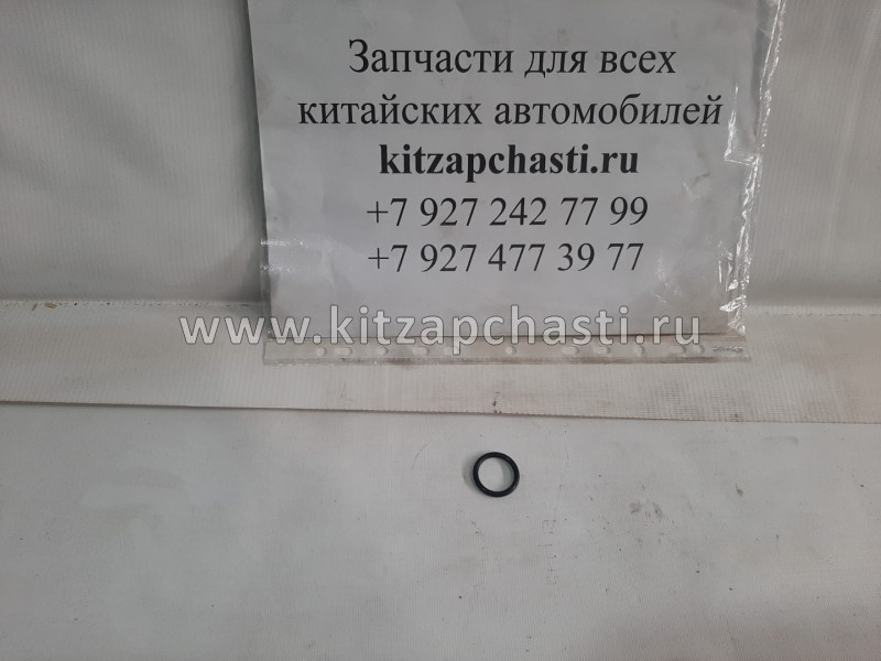 Кольцо уплотнительное Chery Tiggo,Vortex Tingo 473H1307021