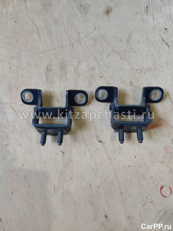 Петля багажника EXEED VX FL 552000040AADYJ