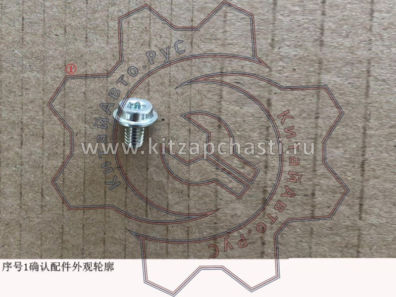 Болт ручки двери HAVAL H5 2рест 6105013DKZ16A