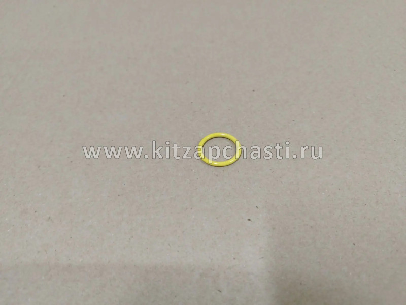 УПЛОТНИТЕЛЬНОЕ КОЛЬЦО 24*3 Knewstar 001  8013009000
