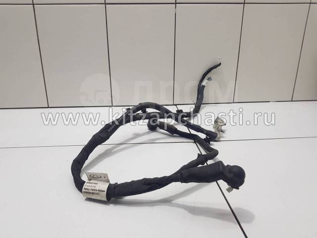 Жгут проводов заземления  EXEED LХ FL 806002864AA