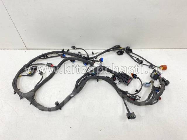 Жгут проводов пола  EXEED LХ FL 806004295AA