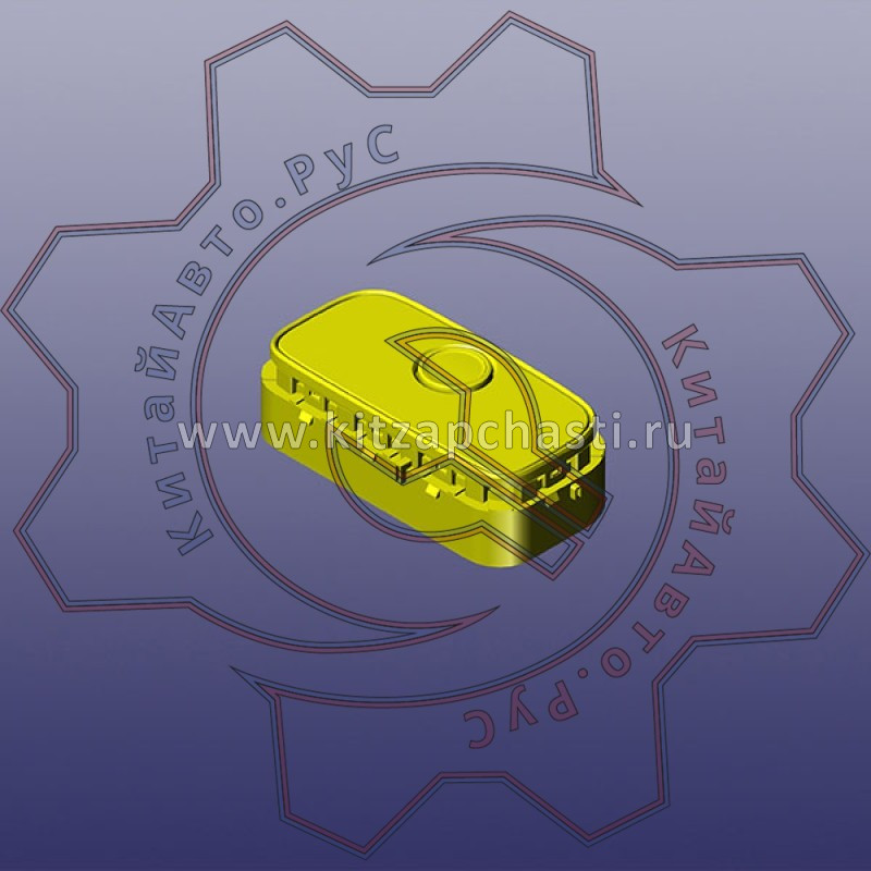 Центральный коммутатор EXEED VX FL 808001054AA