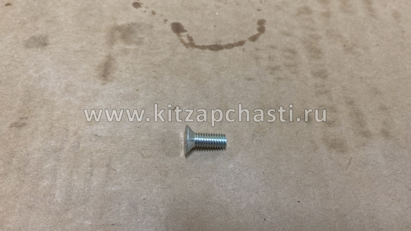 Винт с потайной головкой с крестообразным углубление Jaecoo J8 Q2540616F36