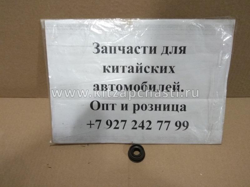 Сальник вала выбора передач QR523-1702402 Chery Indis